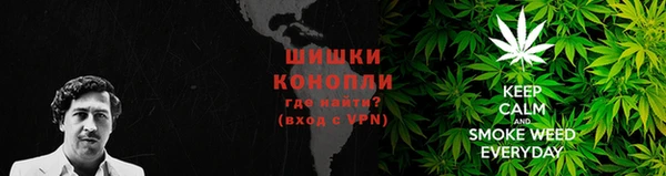 PSILOCYBIN Арсеньев