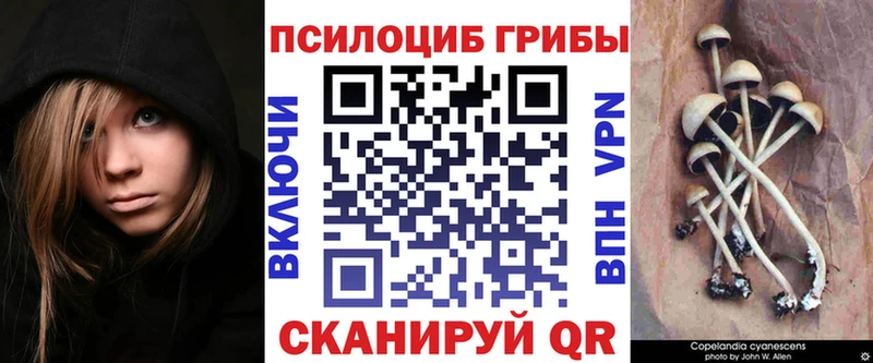 Псилоцибиновые грибы мицелий  Биробиджан 